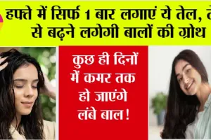 Hair Care: बालों को लंबा और घना बनाने के लिए करें इस तेल का इस्तेमाल