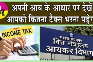 Income Tax Slabs FY 2024-25: अपनी आय के आधार पर देखें, आपको कितना टैक्स भरना पड़ेगा!