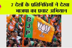 Lok Sabha Elections 2024: 7 देशों के प्रतिनिधियों ने देखा भाजपा का प्रचार अभियान
