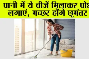 Mopping Tips: पानी में ये चीजें मिलाकर पोछा लगाएं, मच्छर होंगे छूमंतर!