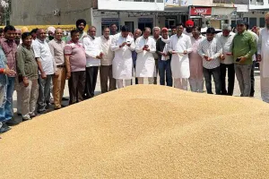 विधायक की मौजूदगी में शुरू हुई गेहूं की सरकारी खरीद