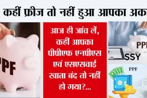 NPS vs PPF: आज ही जांच लें, कहीं आपका PPF, एनपीएस एवं एसएसवाई खाता बंद तो नहीं हो गया?