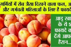 Aadu fruit Benefits: गर्मियों में सेब जैसा दिखने वाला फल, आंखों और गर्भवती महिलाओं के लिए है फायदेमंद