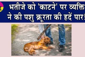 Man Kills Pet Dog: भतीजे को ‘काटने’ पर व्यक्ति ने की पशु क्रूरता की हदें पार!