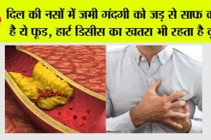 Foods for Heart: दिल की नसों में जमी गंदगी को जड़ से साफ करते है ये फूड, हार्ट डिसीस का खतरा भी रहता है दूर