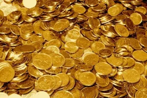 Antique Gold Coins Found: शख्स कर रहा था घर में खुदाई, अचानक कुछ देखकर चमक गई उसकी आंखें!