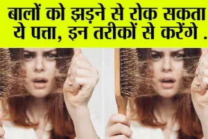 Hair Care Tips: बालों के लिए किसी वरदान से कम नहीं हैं ये पत्ते …जानें कैसे करें इस्तेमाल