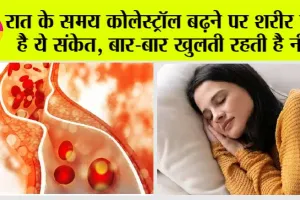 High Cholesterol: नाइट में कोलेस्ट्रॉल बढ़ने पर शरीर देता हैं ये संकेत, बीच-बीच में खुलती रहती हैं नींद
