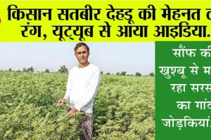 सौंफ की खुश्बू से महक रहा सरसा का गांव जोड़कियां