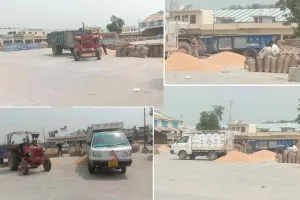 मंडियों में धड़ल्ले से आ रही है बाहरी राज्यों की गेहूं, पोर्टल होने के बावजूद कोई रोक टोक नहीं