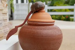 Health Benefits Of Pot Water: पेट के आकार सा मटका शीतलता देने के साथ-साथ देता है पेट की कई बीमारियों को पटका!