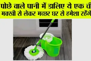 Mop Water: मक्खी-मच्छरों की समस्या से है परेशान, तो पोंछे में ये चीज मिलाकर लगाएं पोंछा, फिर देखो कमाल!