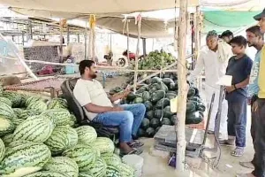 Watermelon: गर्मी की दस्तक के साथ बढ़ी तरबूज की बिक्री