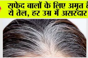White Hair: दादी मां बाल कैसे होंगे काले? अगर आपका भी यही सवाल, तो करें इस तेल का इस्तेमाल