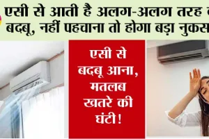 Why AC Smells Bad: एसी में है बदबू की समस्या तो ऐसे करें समाधान