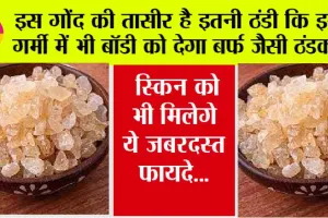 Gond Katira Benefits: इस गोंद की तासीर है इतनी ठंडी कि इस भीषण गर्मी में भी बॉडी को देगा बर्फ जैसी ठंडक, स्किन को भी मिलेगे ये जबरदस्त फायदे