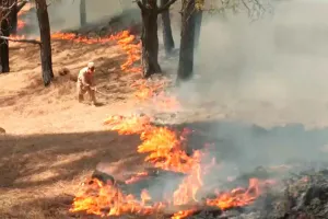 Jammu and Kashmir: पहाड़ियों में भीषण आग, देखें, भीषण आग का दृश्य!