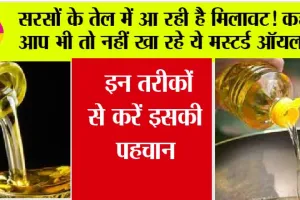 Mustard Oil: सरसों के ऑयल में आ रही है मिलावट! कहीं आप भी तो नहीं खा रहे ये मस्टर्ड ऑयल, इन तरीकों से करें इसकी पहचान