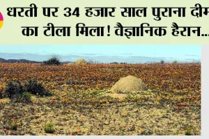 Science News: धरती पर 34 हजार साल पुराना दीमक का टीला मिला!
