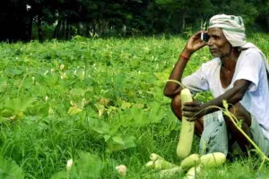 कृषि से क्यों विमुख हो रहे हैं किसान?