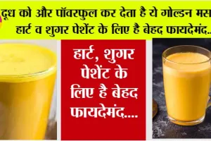 Benefits Of Turmeric Milk: औषधीय गुणों से भरपूर होता है ये गोल्डन मसाला, दूध को कर देता है और पॉवरफुल, शुगर पेसेंट के लिए है फायदेमंद