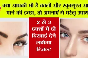 Eyebrow Tips: क्या आपकी भी है काली और खूबसूरत आईब्रो पाने की इच्छा, तो अपनाएं ये घरेलू उपाय, 2 से 3 हफ्तों में ही दिखाई देने लगेगा रिजल्ट