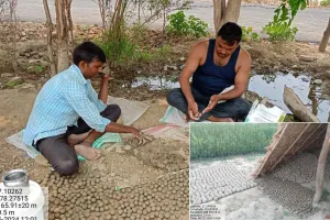 अनूठी पहल: सीडवॉल से वन विभाग द्वारा कराया जा रहा पौधारोपण