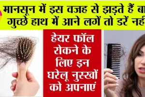 Hair Fall in Monsoon: मानसून में अक्सर बढ़ जाती हैं हेयर फॉल की समस्या, छूटकारा पाने के लिए अपनाएं ये घरेलू उपाय…