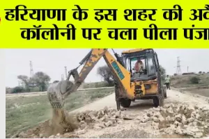 हरियाणा के इस शहर की अवैध कॉलोनी पर चला पीला पंजा, मचा हड़कंप!
