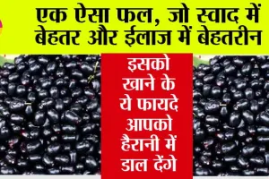 Jamun Benefits: औषधीय गुणों से भरपूर, बीमारियों से रखे दूर ये फल