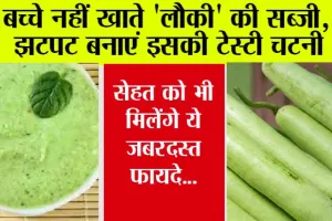 Lauki ki Chutney Recipe: क्या आप भी नहीं खाते लौकी की सब्जी, तो झटपट बनाएं ये टेस्टी चटनी, सेहत को भी मिलेंगे ये फायदे