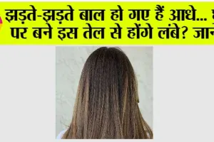 Long Hair: झड़ते-झड़ते बाल हो गए हैं आधे? घर पर बने इस तेल से होंगे लंबे?