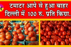 Tomato Price Hike : टमाटर हुआ गुस्से से ज्यादा लाल, कीमतों ने छूआ आसमान! आपे से हुआ बाहर, जानें चौंकाने वाली कीमतें