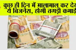 Business Idea: क्या आप नौकरी या बिजनेस की तलाश में है? अगर हां, तो शुरू करें ये बिजनेस और महीने में कमाई लाखों रुपए