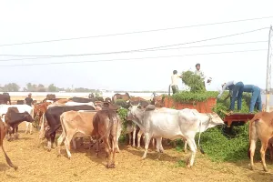 2 भाइयों ने करके ये महादान, किया अपना कल्याण!