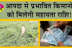 PM Fasal Bima Yojana : किसानों को मिलेगा खराब हुई फसल का मुआवजा, जमा करने होंगे ये दस्तावेज