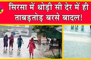 Sirsa Weather Update: झमाझम बारिश से खिली किसानों के चेहरों पर मुस्कान!