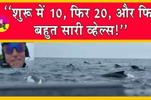 Viral Video: जब हजारों व्हेल्स ने अटलांटिक महासागर में व्यक्ति को घेर लिया! देखें खतरनाक वीडियो