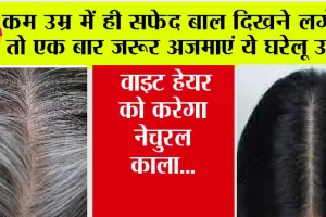 White Hair Ko Black Kaise Kare: कम उम्र में ही सफेद बाल दिखने लगे हैं, तो एक बार जरूर अजमाएं ये घरेलू उपाय, White Hair को करेगा नेचुरल काला…