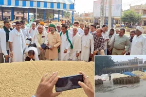 कैथल अनाज मंडी में धान की सरकारी खरीद शुरू