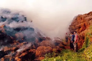 Fire: पराली फैक्टरी में लगी भयानक आग