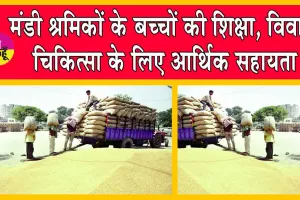 Labour Welfare Scheme: मंडी श्रमिकों को 265 लाख रुपए से अधिक की आर्थिक सहायता!