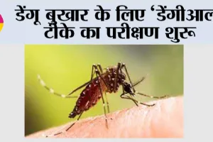 Dengue: डेंगू बुखार के लिए ‘डेंगीआल’ टीके का परीक्षण शुरू
