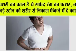 Pathri Ka Ilaj: पथरी का काल है ये सफेद रंग का पत्थर, बड़े से बड़े स्टोन को शरीर से निकाल फेंकने में है कारगर, जानें उपयोग