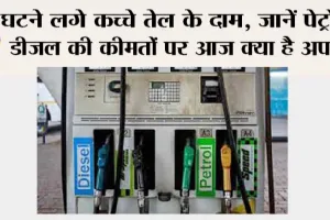 Petrol-Diesel Price Today: घटने लगे कच्चे तेल के दाम, जानें पेट्रोल-डीजल की कीमतों पर आज क्या है अपडेट