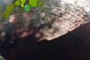 Viral News: रील बनाने का इस माँ पर ये कैसा भूत सवार? बच्चे की जान ही जोखिम में डाल दी!