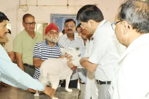 World Rabies Day: विश्व रेबीज दिवस पर लगाए गए एंटी रेबीज टीके