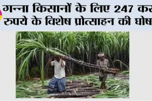 गन्ना किसानों के लिए 247 करोड़ रुपये के विशेष प्रोत्साहन की घोषणा