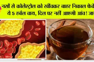 Cholesterol Melting Tea: नस-नस में जमे कोलेस्ट्रॉल को बाहर खींच लाएंगी ये 5 हर्बल चाय, दिल पर कभी नहीं आएगी आंच!