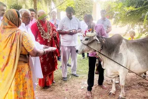 गौपाष्ठमी को राजकीय पर्व के रूप में मना सकती है राज्य सरकार!